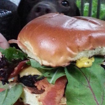 Cheeseburger with gluten free bun (and my puppy lurking behind it)